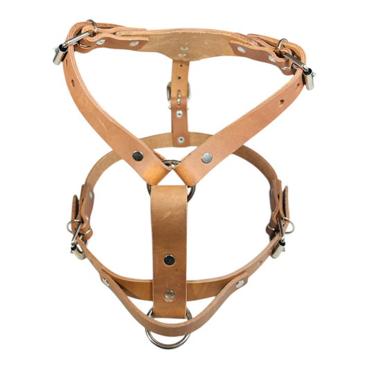 PECHERA DE PIEL AJUSTABLE