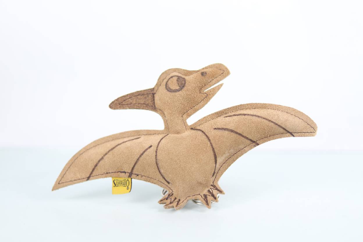 DINOCARNAZA CHILLÓN
