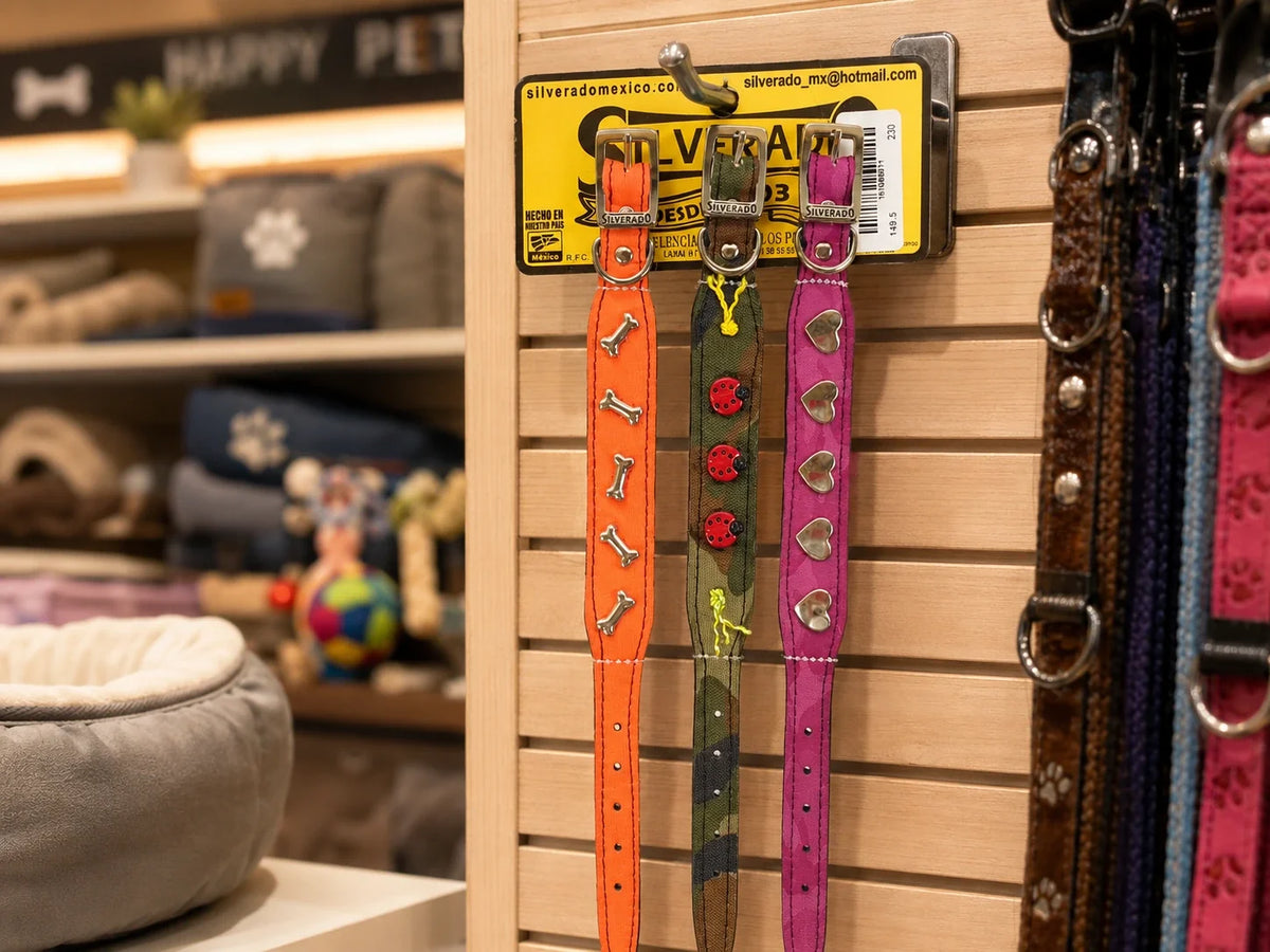 Blisters de collares para perro para negocios de mascotas en México marca Silverado