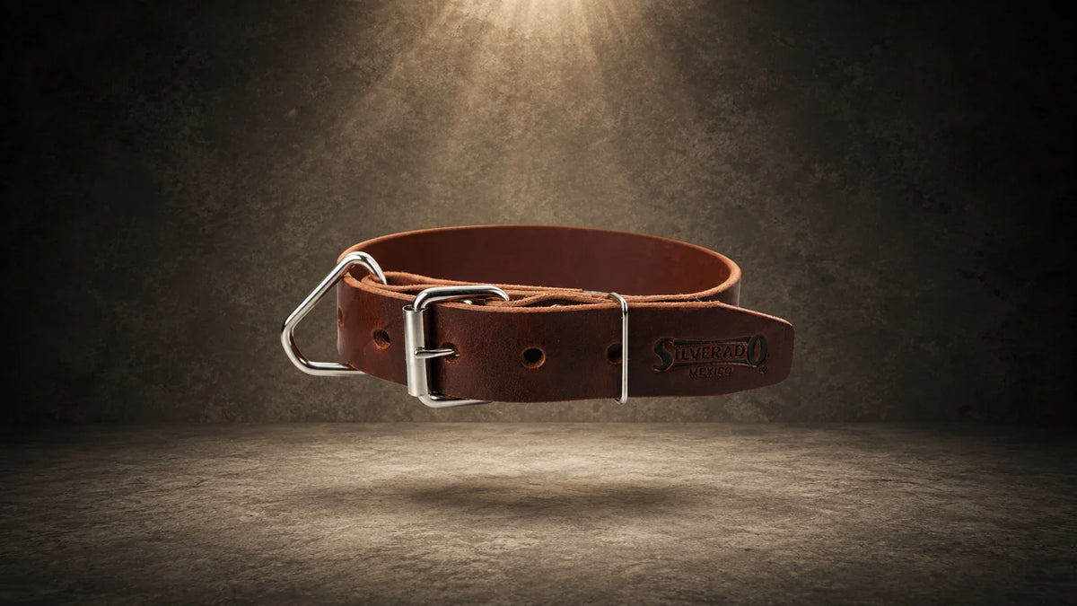 Collares de piel para perro - ancho 4cm