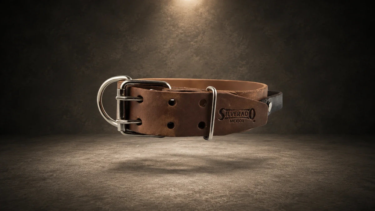 Collares de piel para perro - ancho 5cm