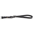 Cable de Paseo para Perro con Asa de Piel, 1.20m