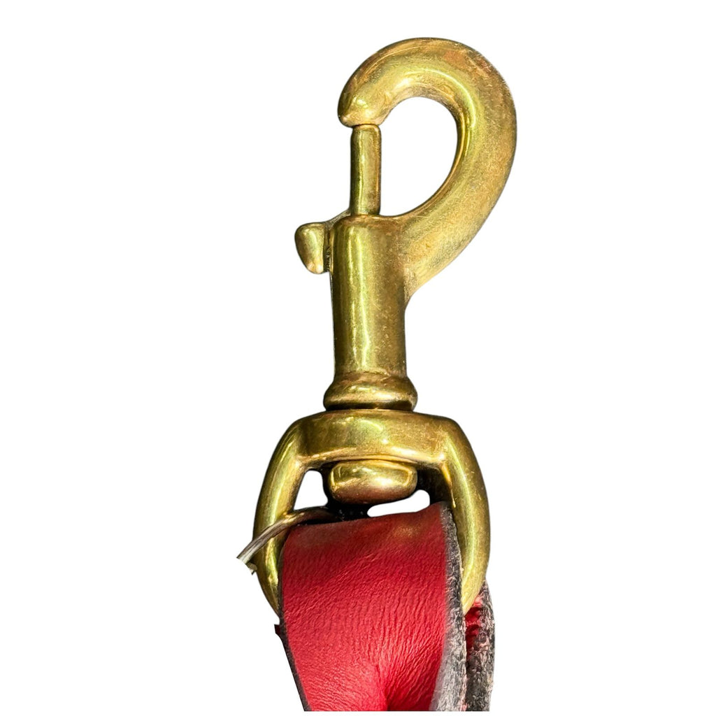 Correa de Entrenamiento para Perro de Piel con Bandola de Bronce, 2cm x 1.20m / 1.80m