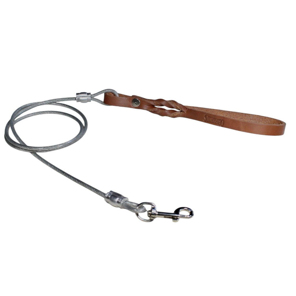 Cable de Paseo para Perro con Asa de Piel, 1.20m