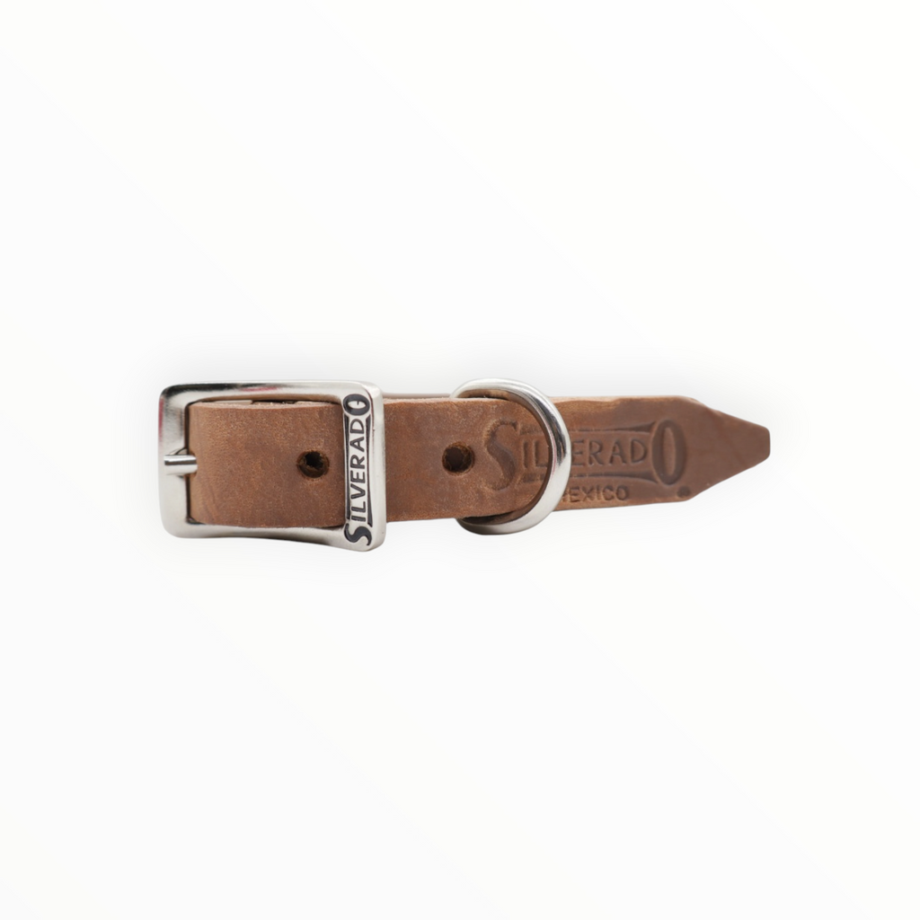 Collar Grabado para Perro de Piel, 2cm de ancho