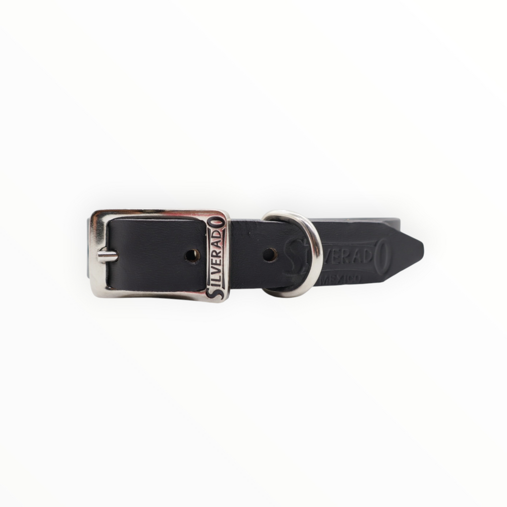Collar Grabado para Perro de Piel, 2cm de ancho