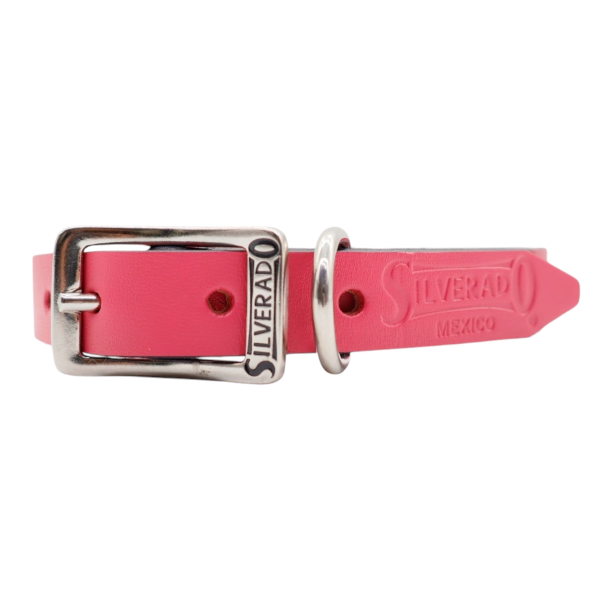 Collar Grabado para Perro de Piel, 2cm de ancho
