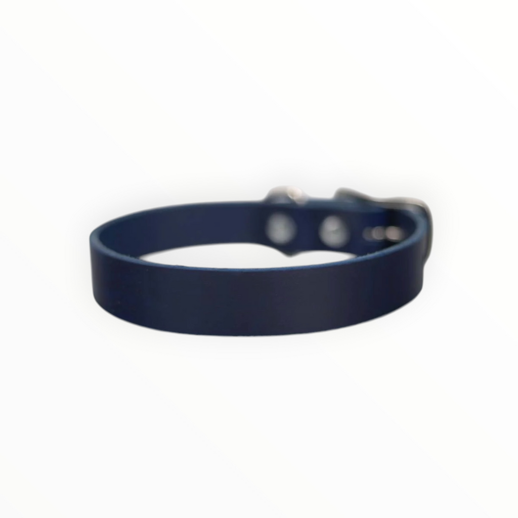 Collar Liso de Piel para Perro, 3cm de ancho