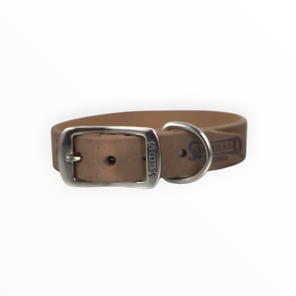 Collar Liso de Piel para Perro, 3cm de ancho