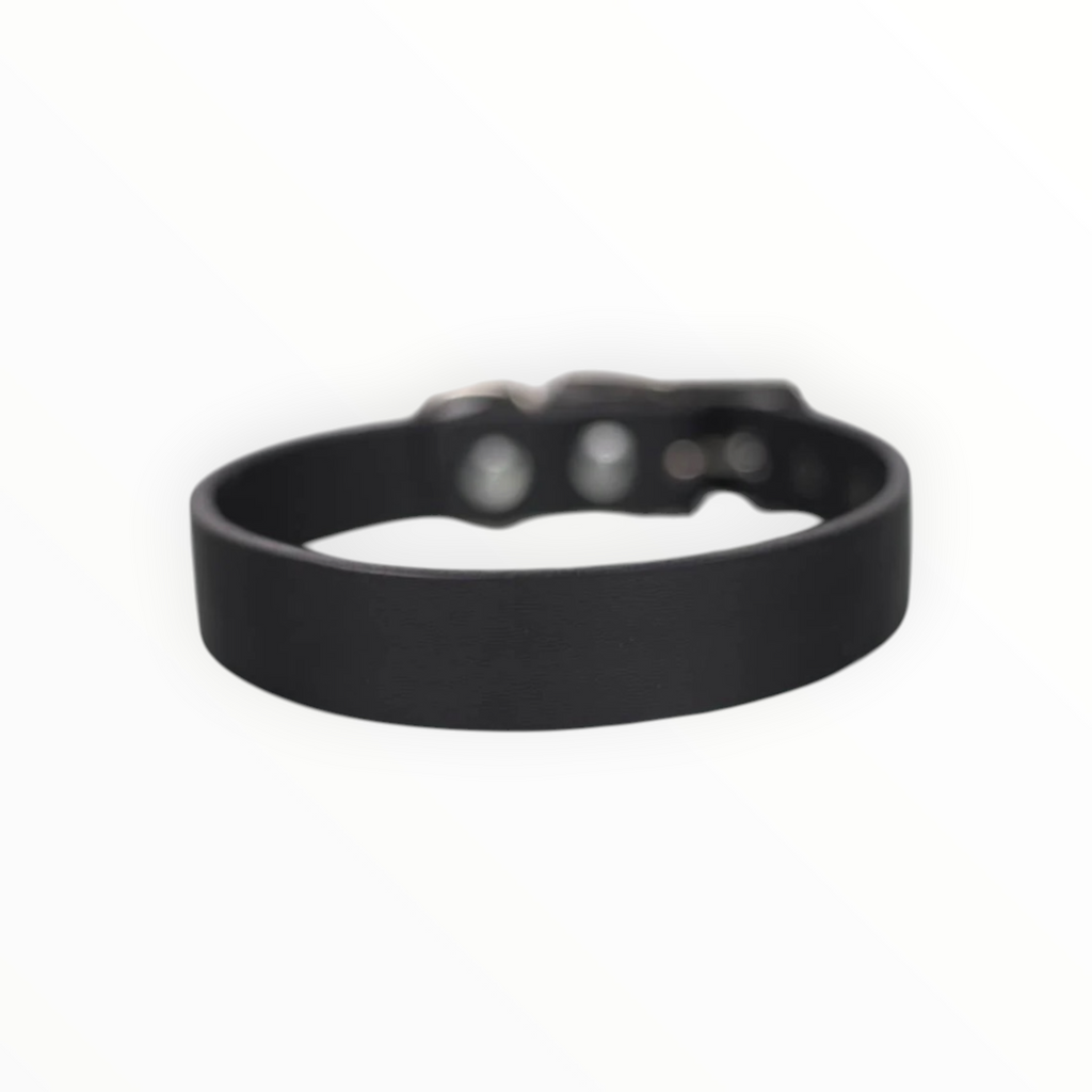 Collar Liso de Piel para Perro, 3cm de ancho