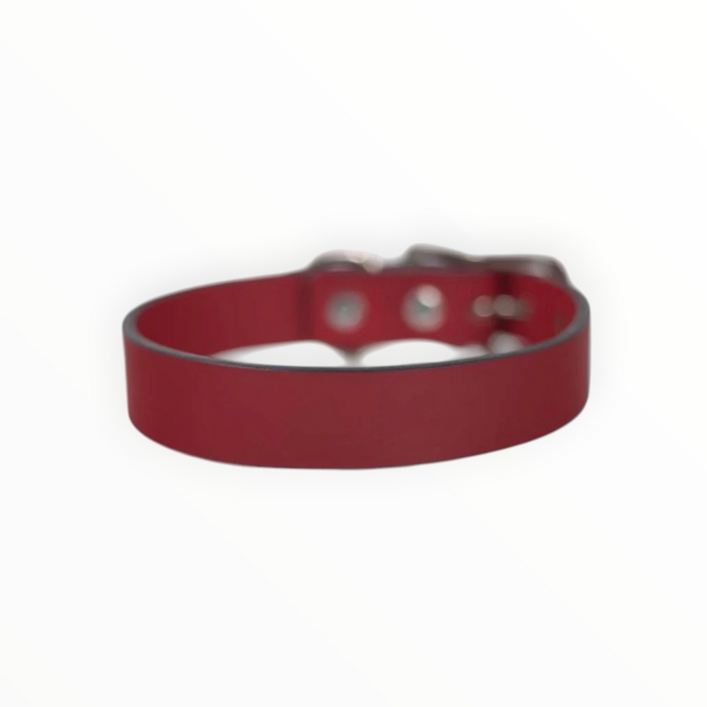 Collar Liso de Piel para Perro, 3cm de ancho