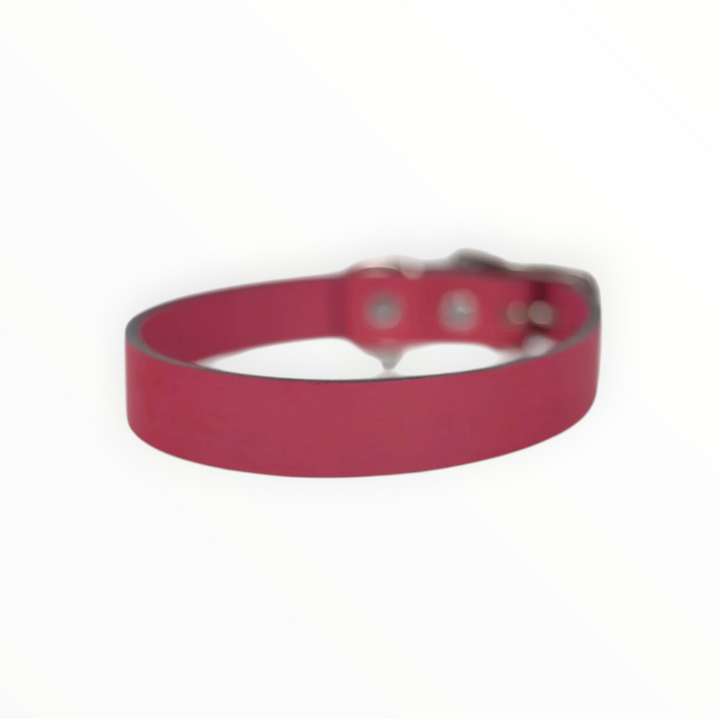 Collar Liso de Piel para Perro, 3cm de ancho