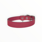 Collar Liso de Piel para Perro, 3cm de ancho