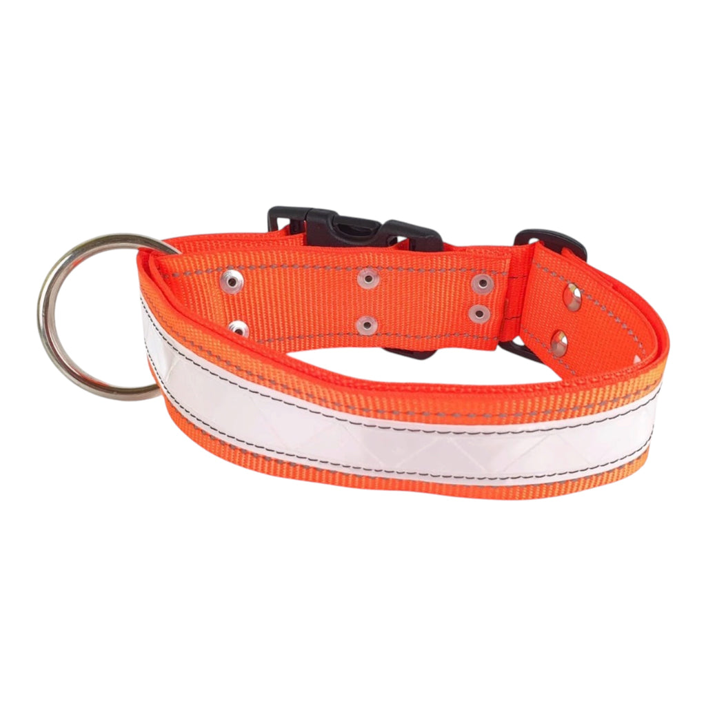 Collar de Nylon con Reflejante para Perro, 5cm de ancho