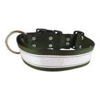 Collar de Nylon con Reflejante para Perro, 5cm de ancho