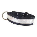 Collar de Nylon con Reflejante para Perro, 5cm de ancho