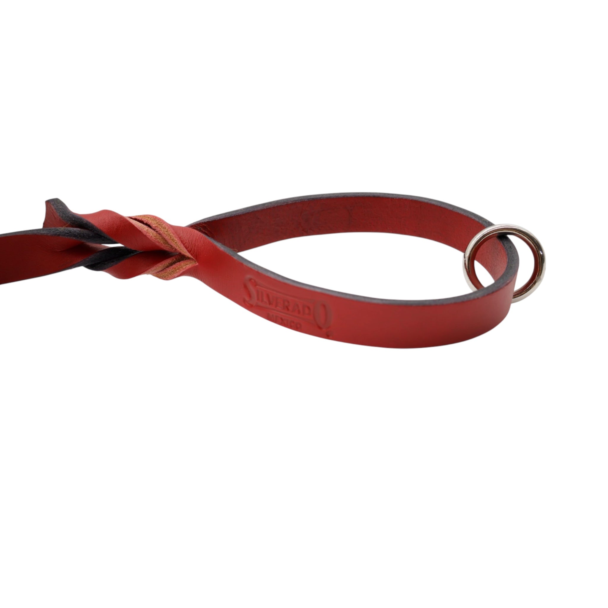 Correa con Maniquera para Perro de Piel, 2cm × 1.80m