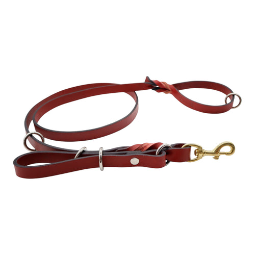 Correa con Maniquera de Piel para Perro, 2cm × 1.80m