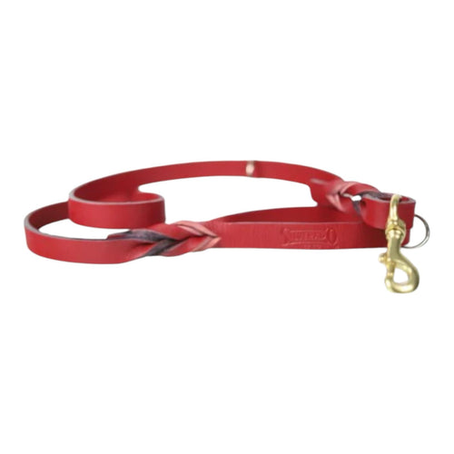 Correa de Entrenamiento para Perro de Piel con Bandola de Bronce, 2cm x 1.20m / 1.80m