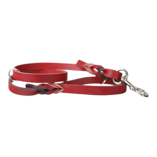 Correa de Entrenamiento para Perro de Piel con Herraje Niquelado, 2cm x 1.20m / 1.80m