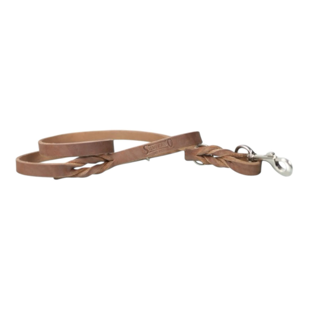 Correa de Entrenamiento para Perro de Piel con Bandola de Niquel, 2cm x 1.20m / 1.80m