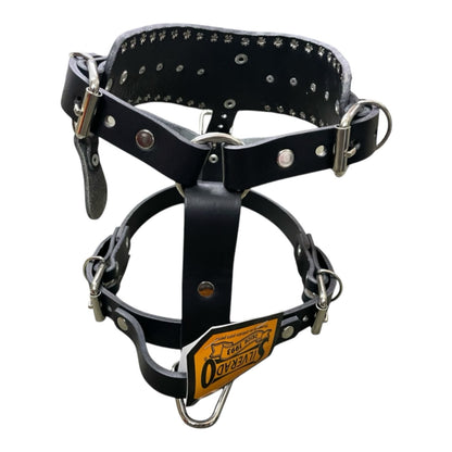 PECHERA DE PIEL AJUSTABLE PITBULL