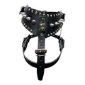 Pechera Pitbull Ajustable para Perro de Piel