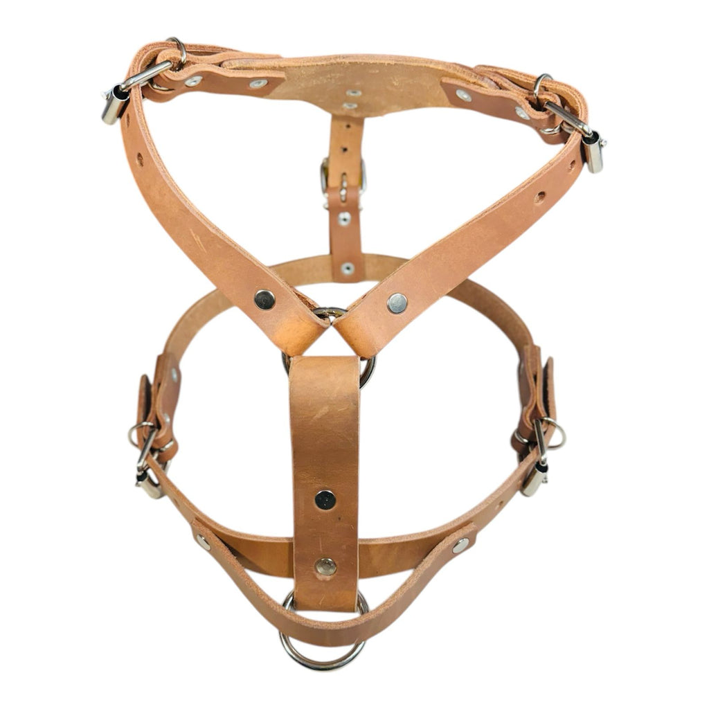 Pechera Ajustable para Perro de Piel
