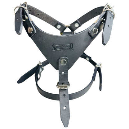 PECHERA DE PIEL AJUSTABLE