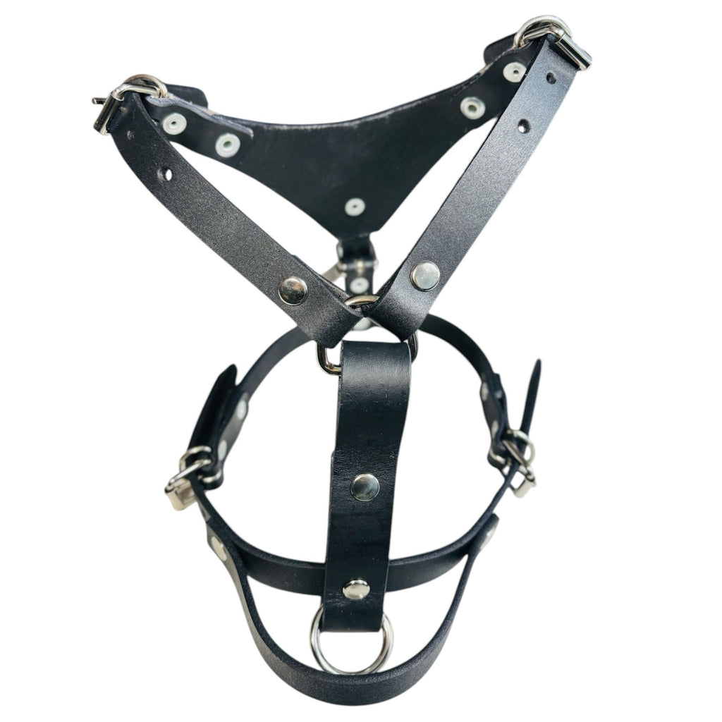 Pechera Ajustable para Perro de Piel