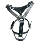 Pechera Ajustable para Perro de Piel