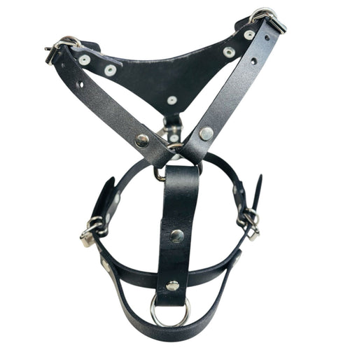 Pechera Ajustable para Perro de Piel