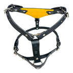 Pechera Ajustable con Fieltro para Perro de Piel