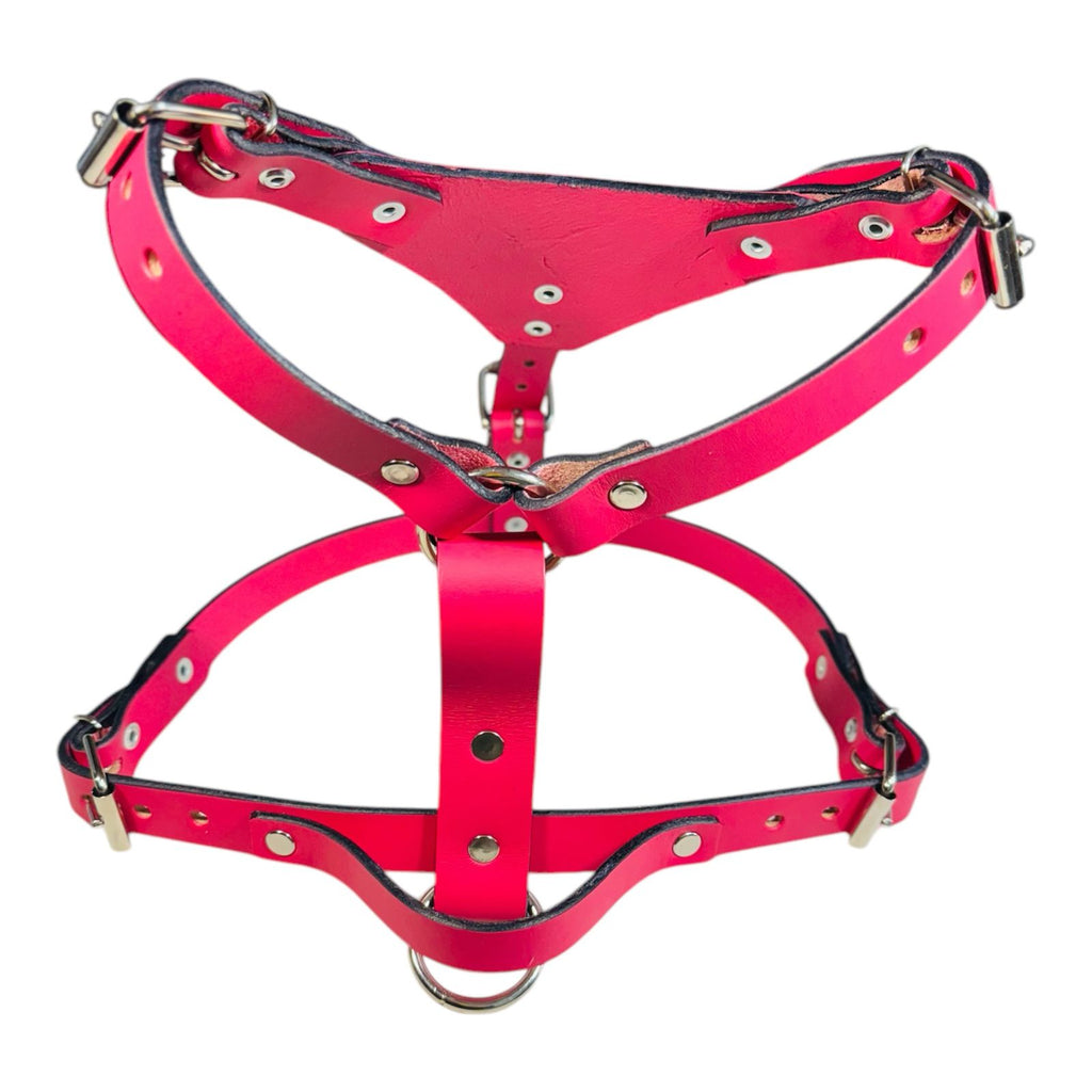 Pechera Ajustable para Perro de Piel