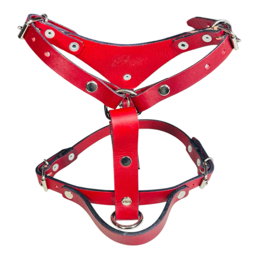 Pechera Ajustable para Perro de Piel