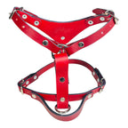 Pechera Ajustable para Perro de Piel