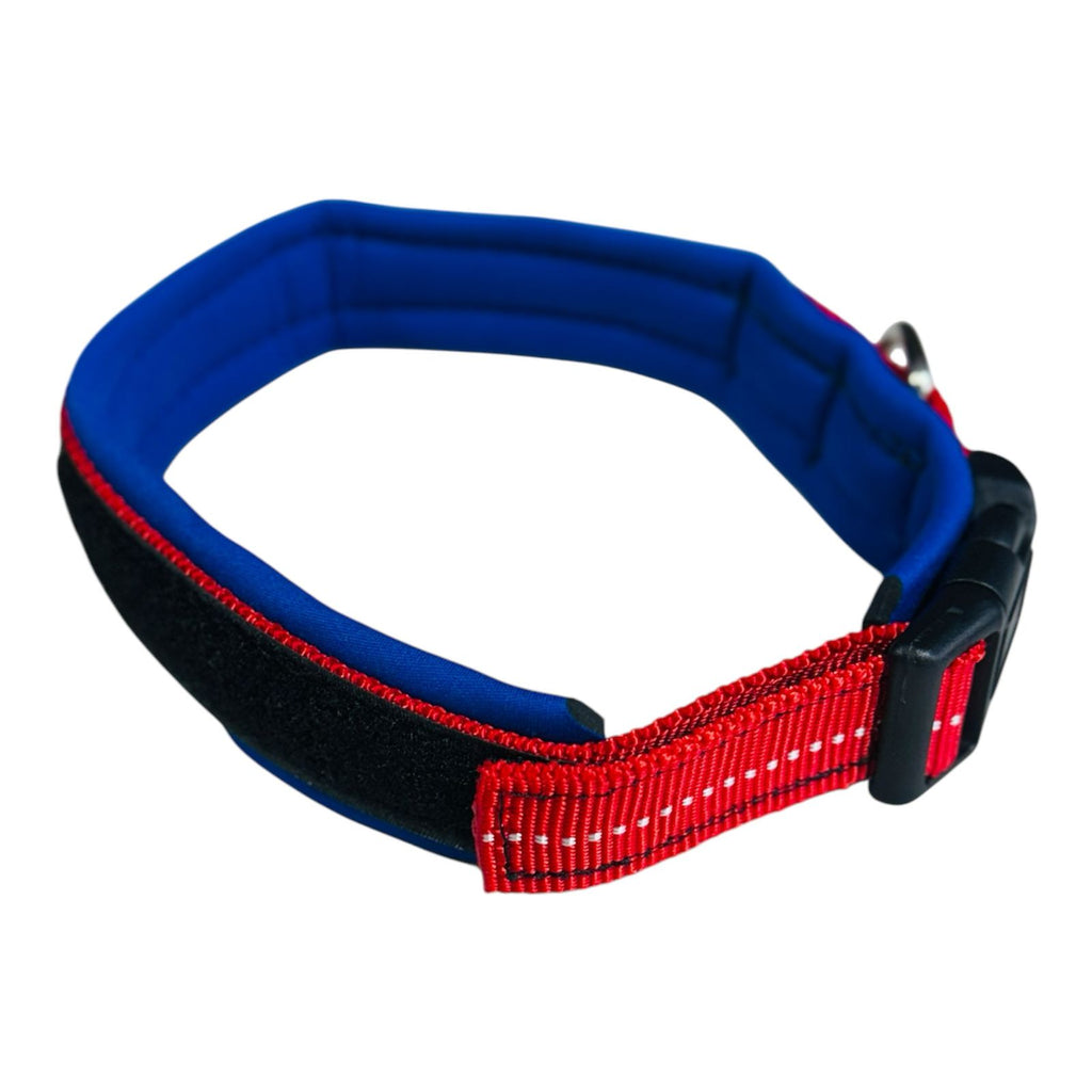 Collar Xolo para Perro de Neopreno, 3cm de ancho