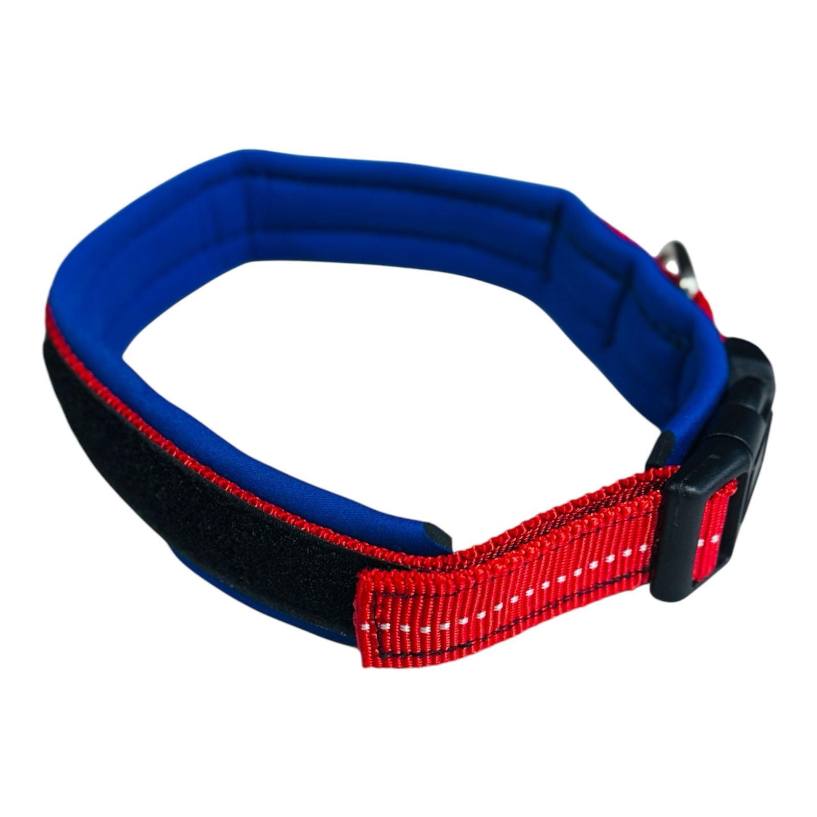 Collar Xolo para Perro de Neopreno, 3cm de ancho