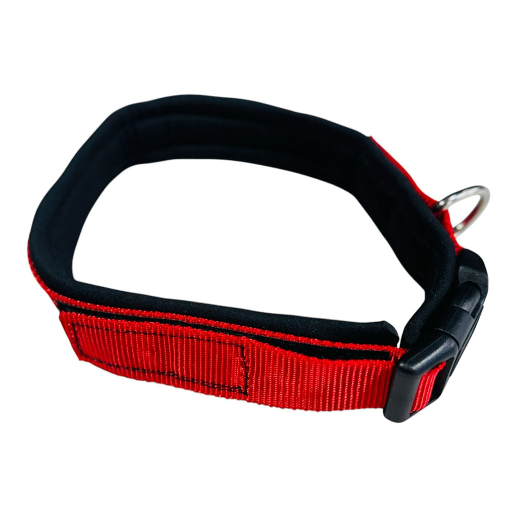 Collar Xolo para Perro de Neopreno, 3cm de ancho