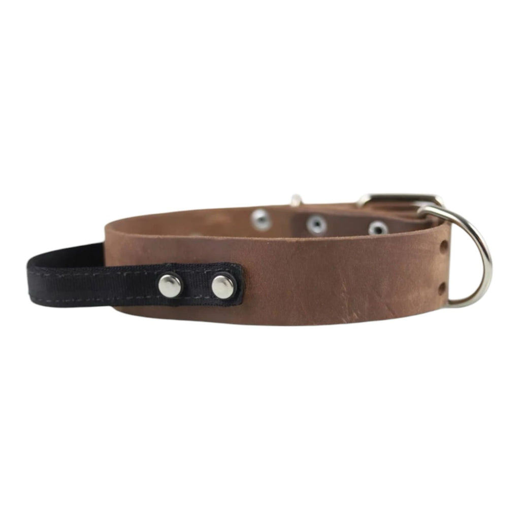 Collar de Agitación con Asa para Perro de Piel, 5cm de ancho
