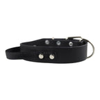 Collar de Agitación con Asa para Perro de Piel, 5cm de ancho