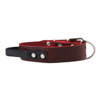 Collar de Agitación con Asa para Perro de Piel, 5cm de ancho
