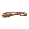 Correa de Entrenamiento para Perro de Piel con Bandola de Bronce, 2cm x 1.20m / 1.80m