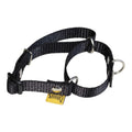 Collar Martingale para Perro de Nylon