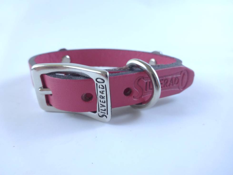 Collar con Aplicación Metálica Huella para Perro de Piel, 1cm de ancho