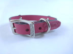 Collar con Aplicación Metálica Huella para Perro de Piel, 1cm de ancho