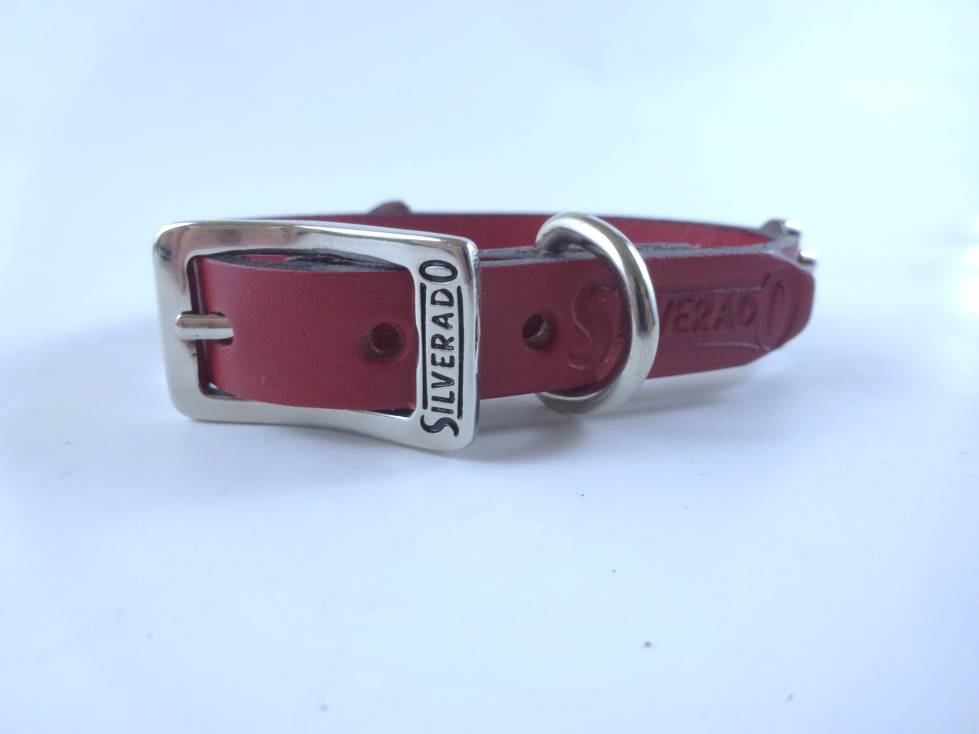 Collar con Aplicación Metálica Huella para Perro de Piel, 1cm de ancho