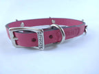 Collar con Aplicación Metálica Perro de Piel, 1cm de ancho