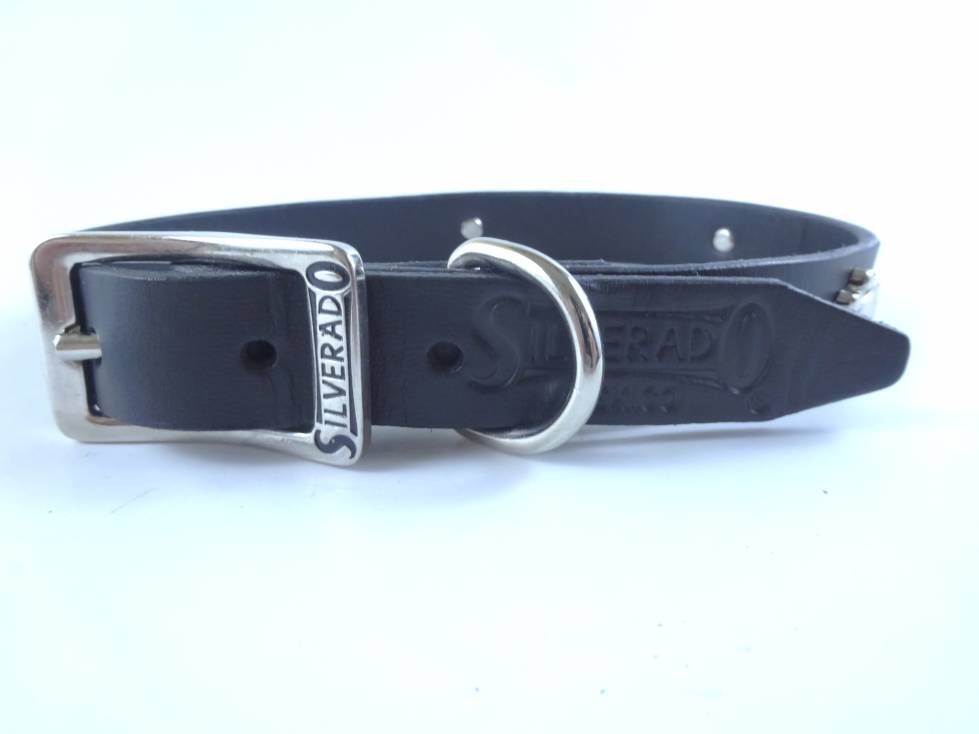 Collar con Aplicación Metálica Huella para Perro de Piel, 2cm de ancho