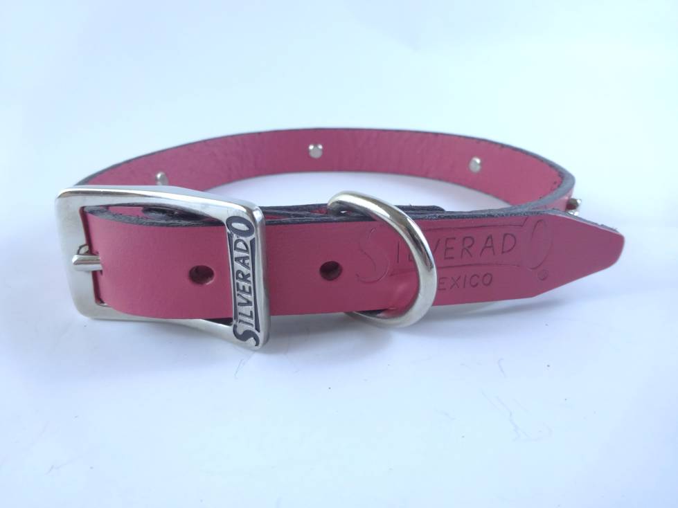 Collar con Aplicación Metálica Huella para Perro de Piel, 2cm de ancho
